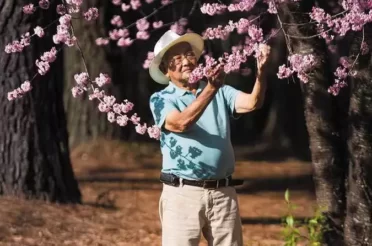 Aos 91 anos, japonês cultiva cerejeiras no Morro do Chapéu, em Nova Lima
